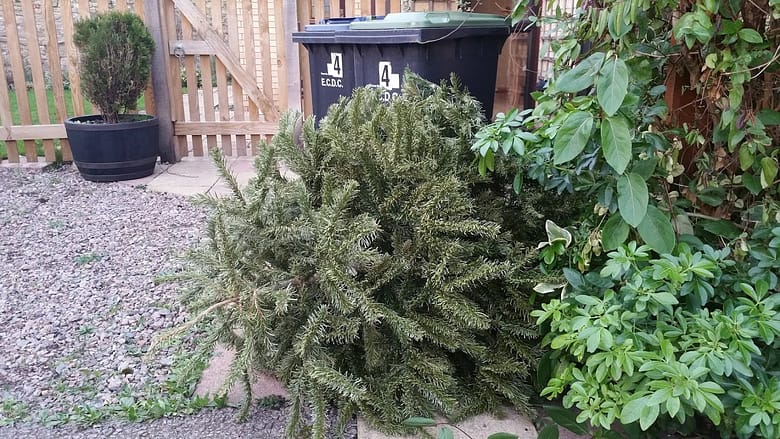 Rubbish day – Waste and recycling at Christmas