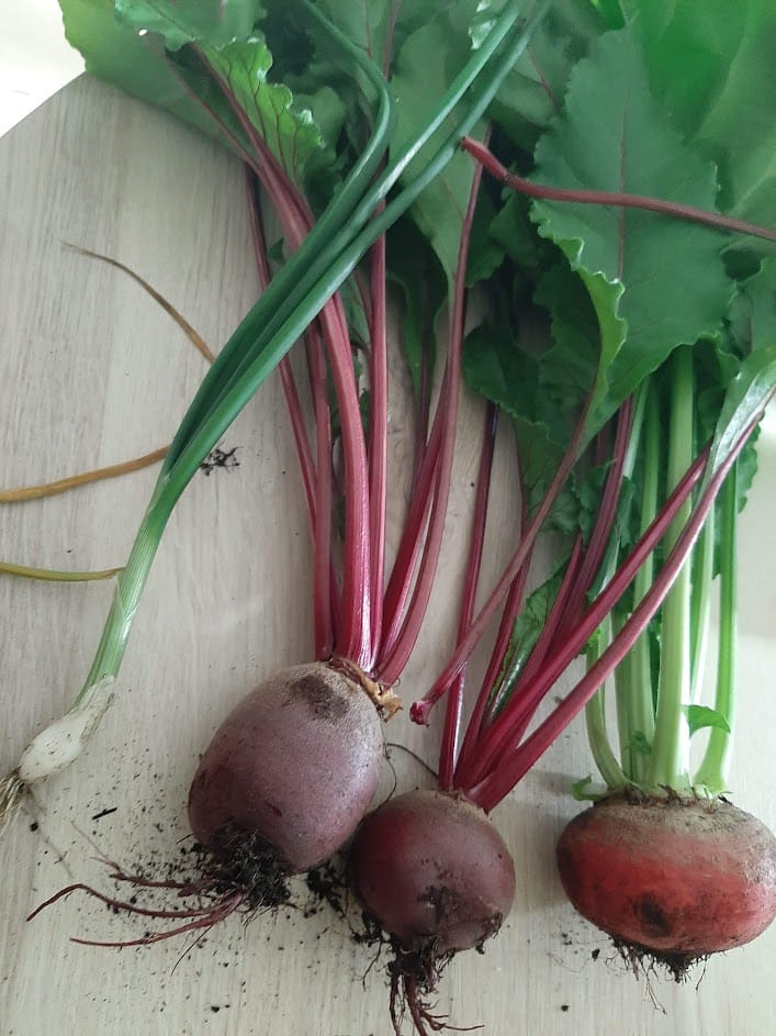 Beetroot and one spring onion from the allotment.
Declutter to make room for new hobbies.