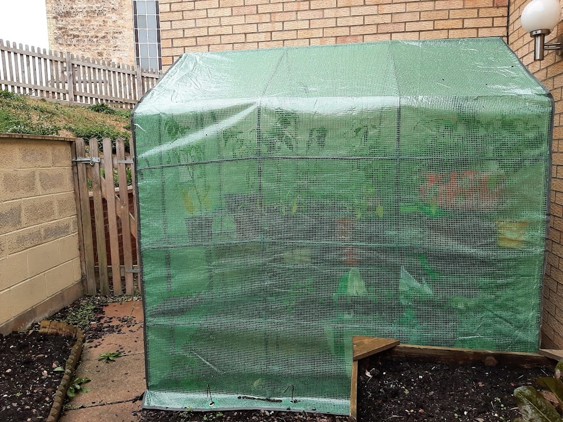 The greenhouse behind the house.  Plastic pots are now stored in here.